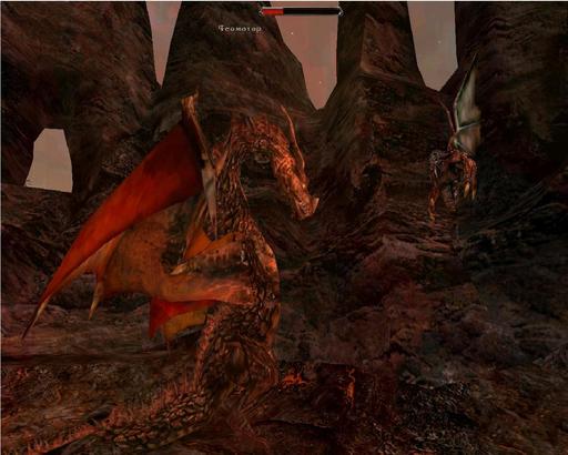 Готика II: Ночь Ворона - Детали о драконах